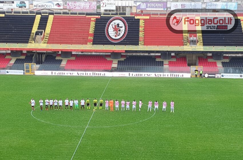  Foggia-Palermo 2-0 risultato finale