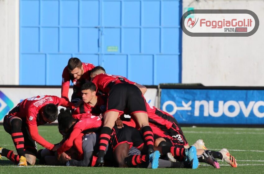  Virtus Francavilla-Foggia 0-1 – Highlights