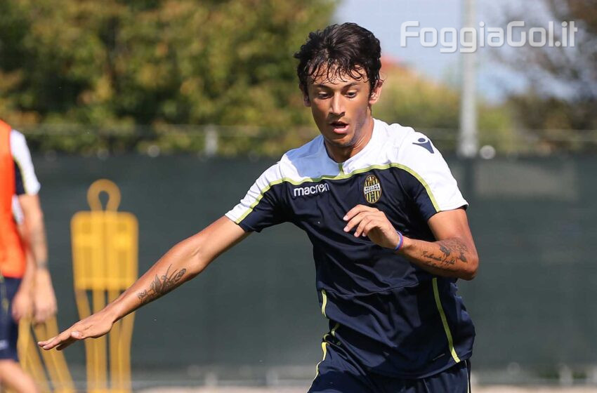  Andrea Danzi è un nuovo calciatore del Foggia